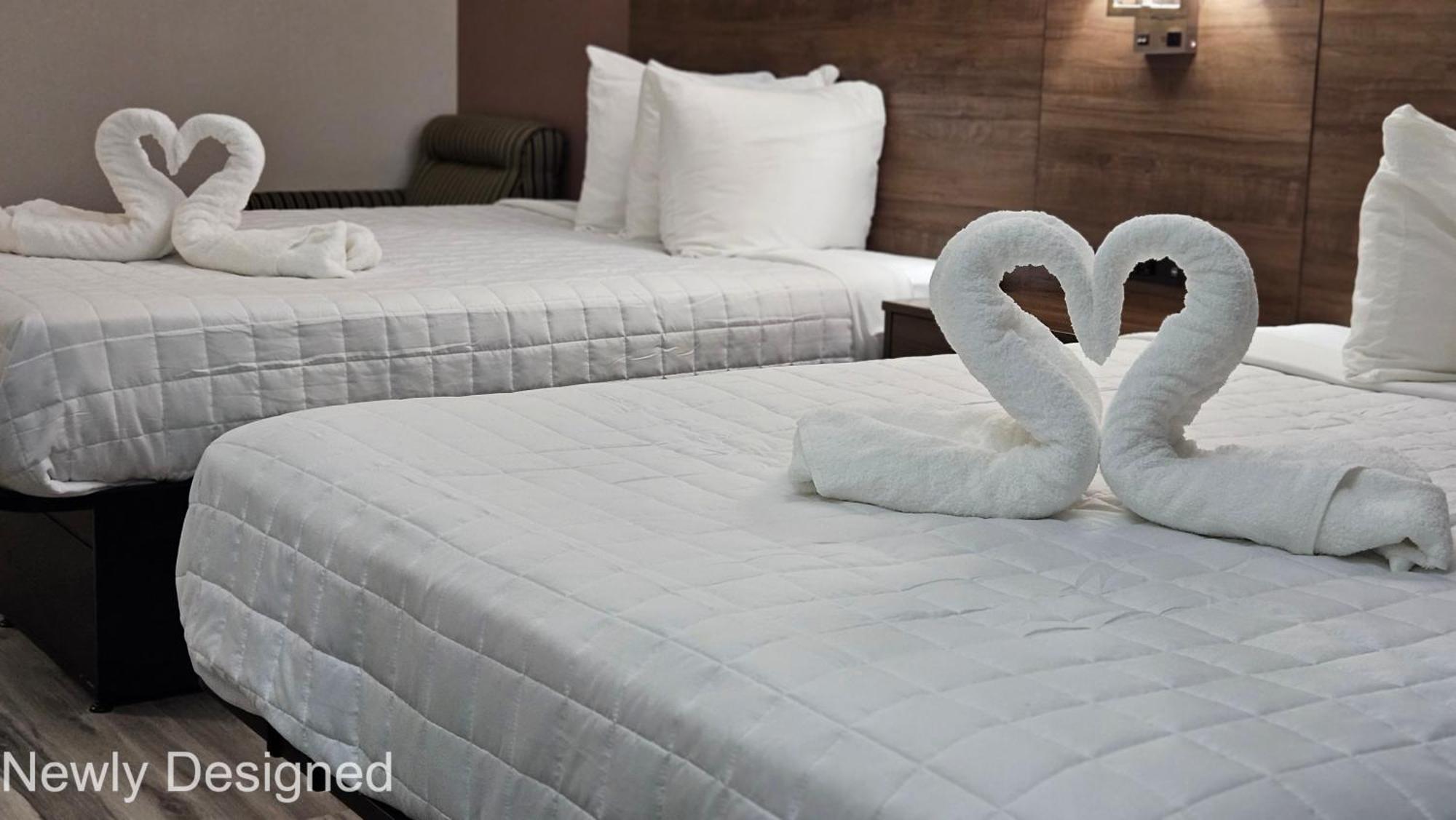 Best Western Hopkinsville Ky - Brand New Rooms Zewnętrze zdjęcie